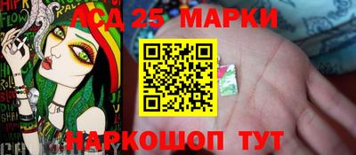 индика Нальчик