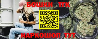 индика Нальчик